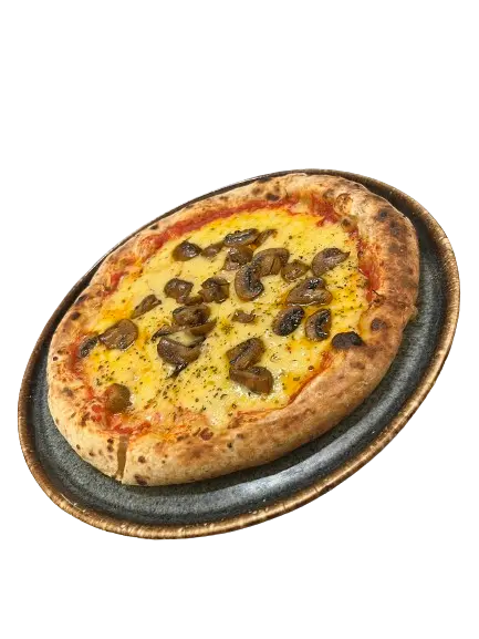 Hongos
